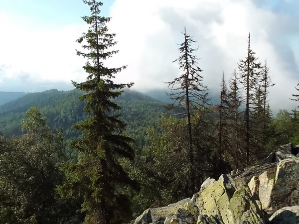 гора Малиновая