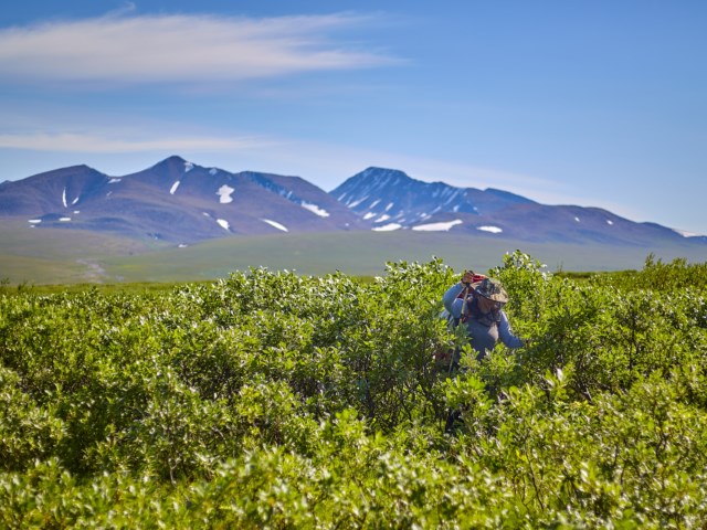 Полярный Урал