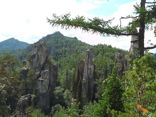 Инзерские зубчатки