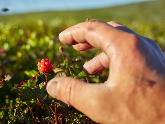 Полярный Урал