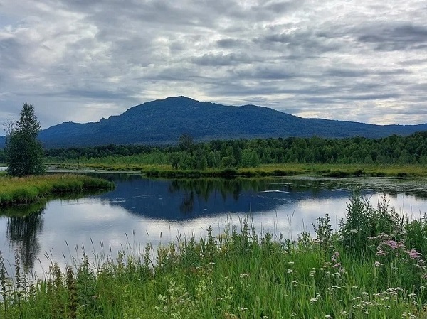 урочище Журавлиное болото