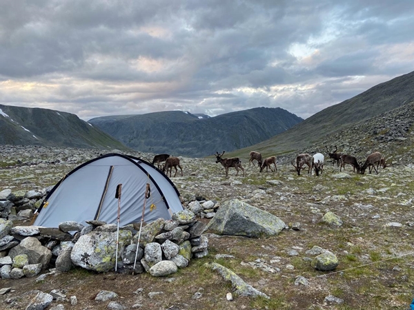 Приполярный Урал