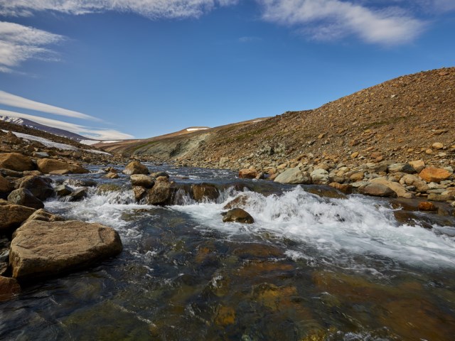 Природа Полярного Урала