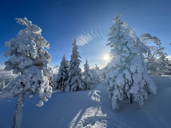 Природа Южного Урала