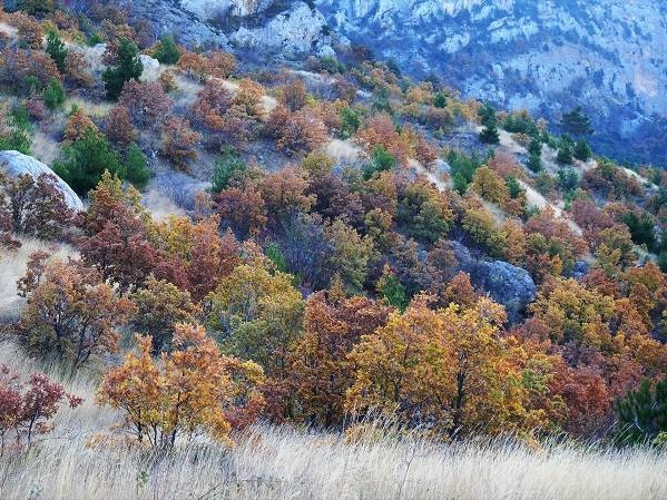 Поход по Крыму