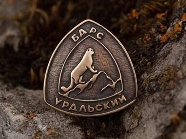 Проект Уральский Барс